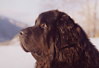 2002_oolum1