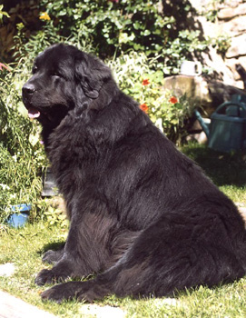 2002_oolum6