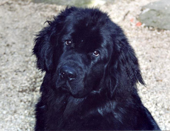 2003_unamaq7m