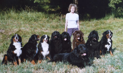 2006_famille1