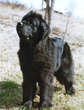 2006_victoria1