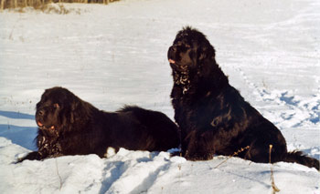 2006_victoriaoolum