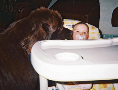 Angus et le b&eacute;b&eacute;
