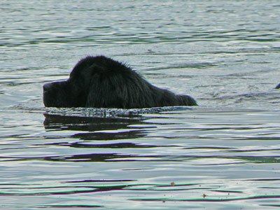 Vercors au lac