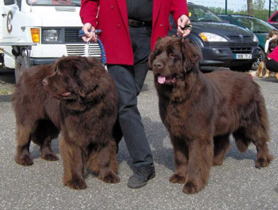 Constance et Balkis