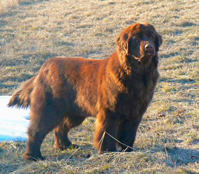 Balkis &agrave; 20 mois