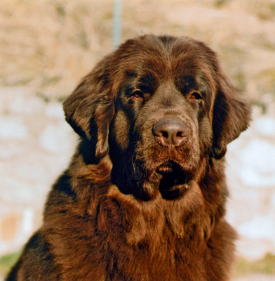 Balkis &agrave; 20 mois