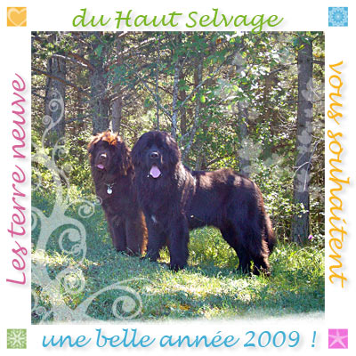 Bonne Ann&eacute;e !