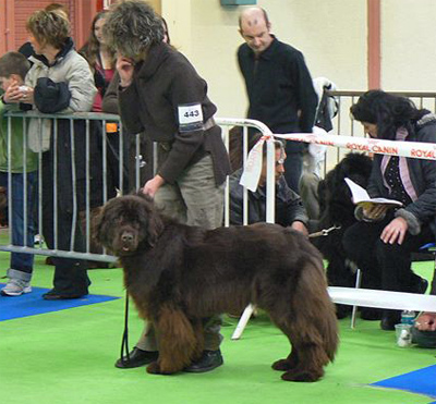 Constance &agrave; l'exposition de Valence 2009
