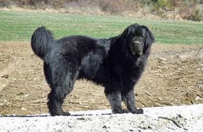 Da&iuml;ko &agrave; 14 mois