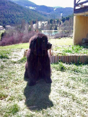 Da&iuml;ko Drum &agrave; 4 mois