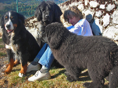 Doolin &agrave; 4 mois