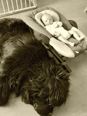 Cargo et le b&eacute;b&eacute;