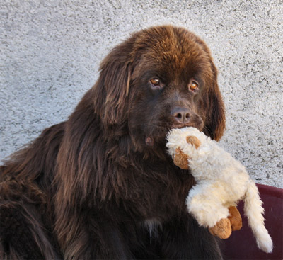 Dawson &agrave; 2 ans