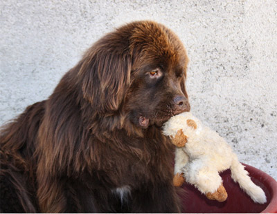 Dawson &agrave; 2 ans