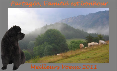 Meilleurs v&oelig;ux pour 2011 !