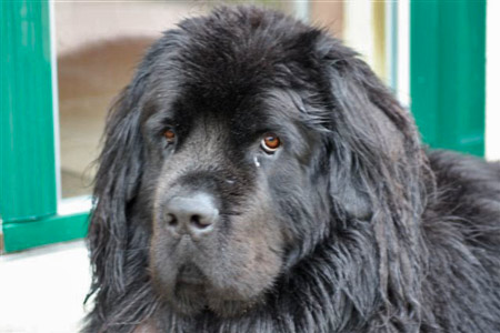 Denver &agrave; 3 ans