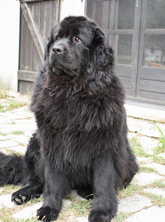Ella &agrave; 32 mois