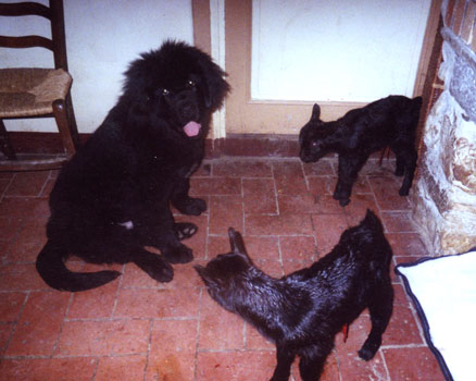 argos3m