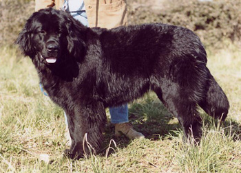 unamaq9-5m1