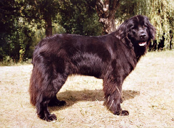 vigdis2
