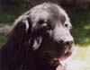 2002_oolum2