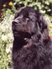 2002_oolum5