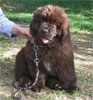 Constance - 3 mois