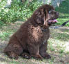 Constance - 3 mois