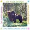 Bonne ann&eacute;e 2009 !