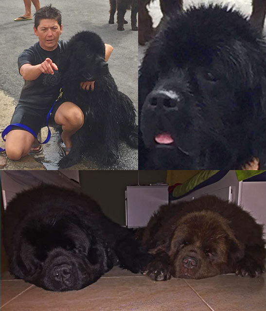 Dylan et Dawson en vacances en Espagne. Dylan et Dawson en vacances en Espagne