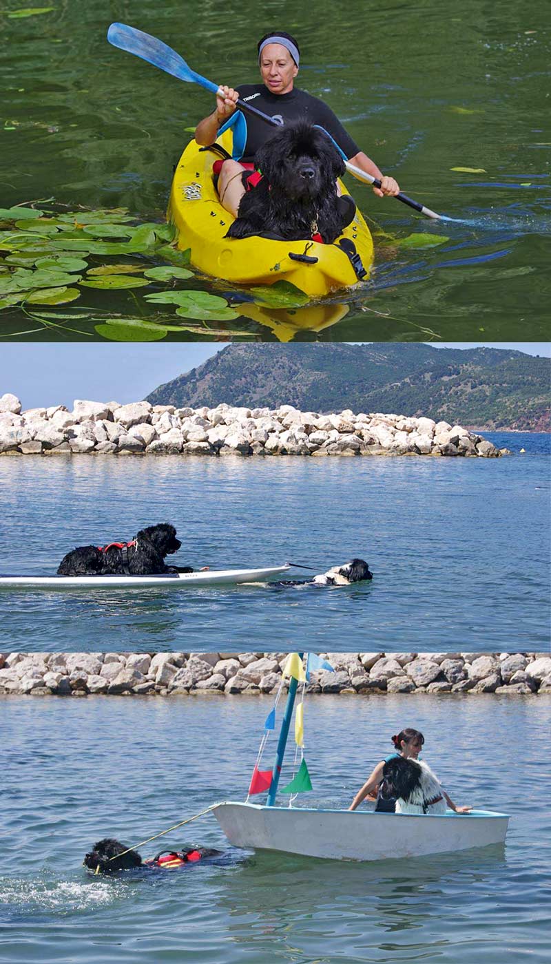 Leo à l'eau