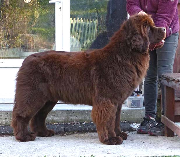 Liouba