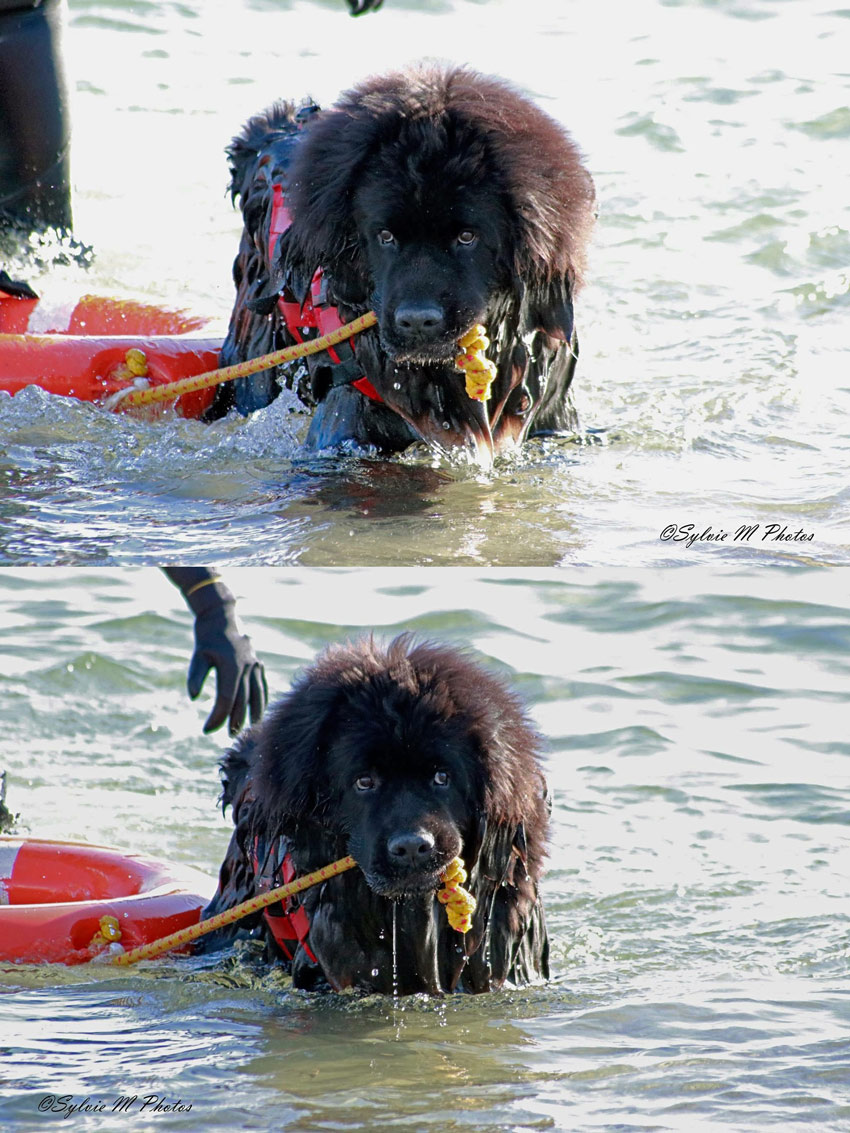 Initiation au travail à l’eau pour Nelson