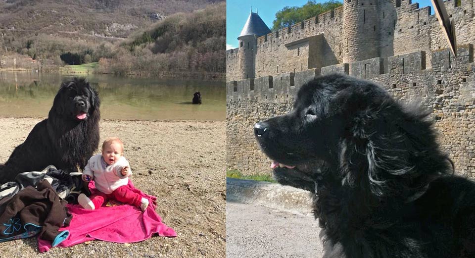 À gauche, Elféa visite Carcassonne, et à droite, bébé Thaïs, Lovely Girl et Haston