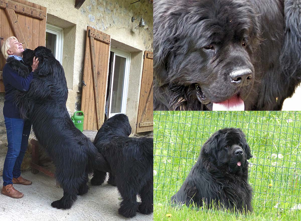 Luce à 2 ans et demi !