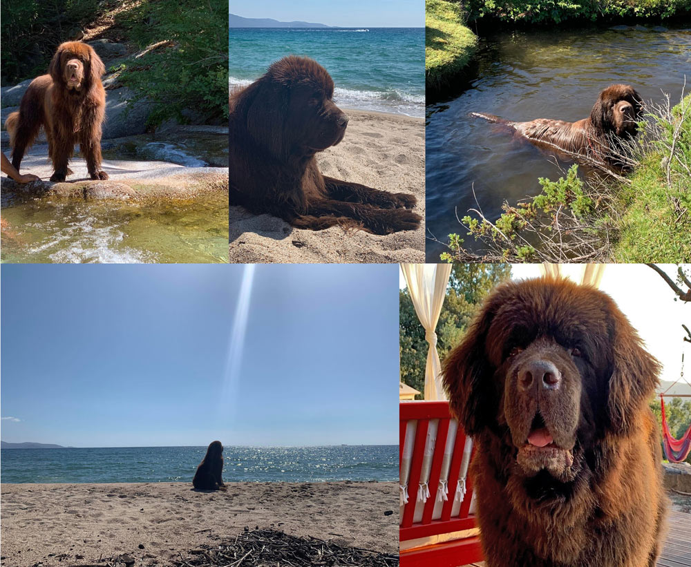 Lomu en vacances Lomu en vacances