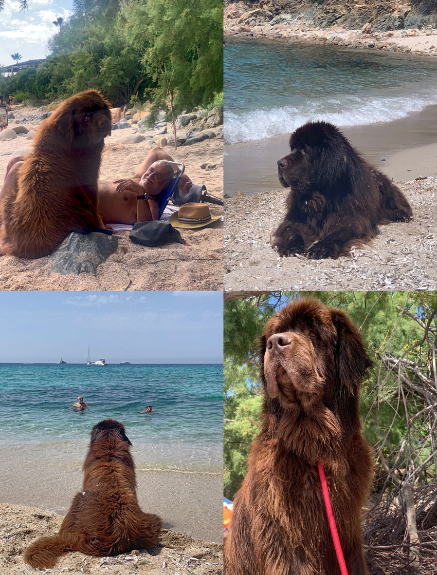 Lomu en vacances. Lomu en vacances.