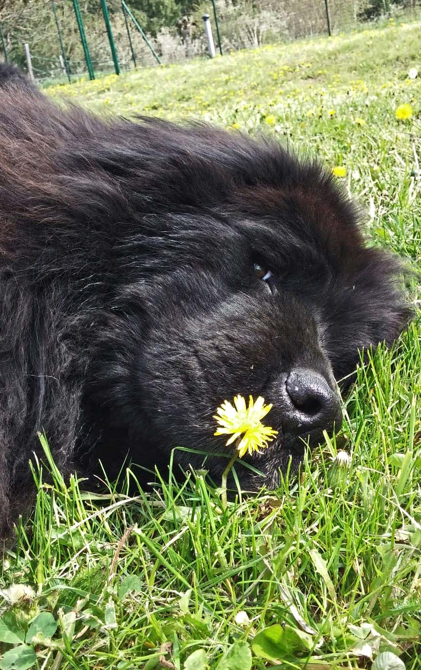 Elen Le Soleil Elen Le Soleil