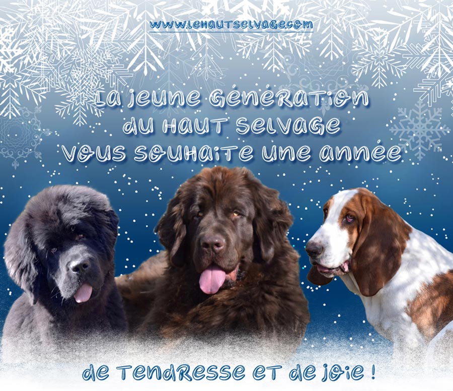 Bonne Année 2024 ! Bonne Année 2024 !