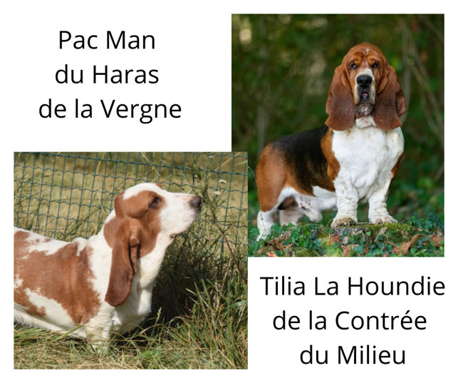 Tilia et Pac Man