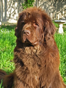 Constance à 4 ans Constance à 4 ans