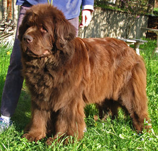 Constance à 4 ans Constance à 4 ans