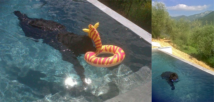 Fanchon inaugure sa nouvelle piscine Fanchon inaugure sa nouvelle piscine
