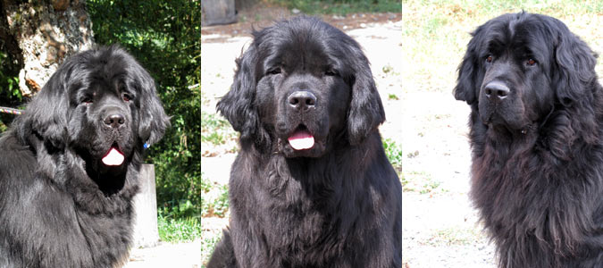 Friend of my Heart, Funny Girl et Enfant de Bohème Friend of my Heart, Funny Girl et Enfant de Bohème