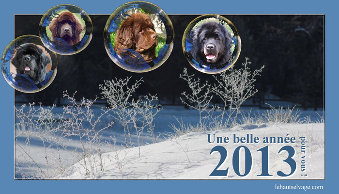 Bonne Année 2013 ! Bonne Année 2013 !