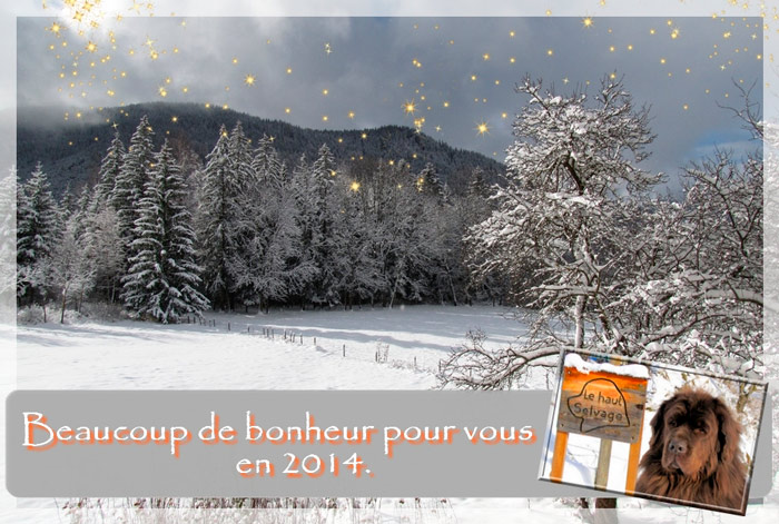 Bonne Année 2014 ! Bonne Année 2014 !