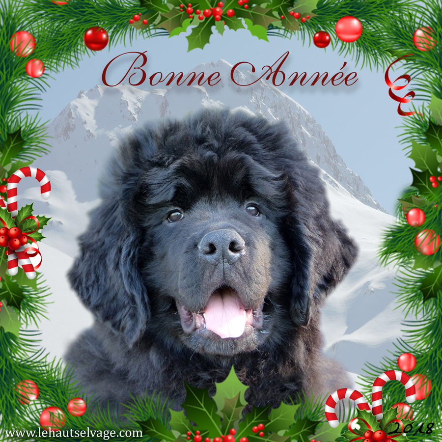 Bonne Année 2018 ! 