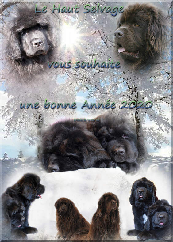 Bonne Année 2020 ! 